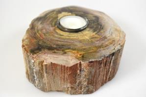 Fossilised Wood Tea Light 17cm | Image 4