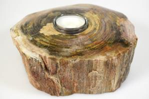 Fossilised Wood Tea Light 17cm | Image 5