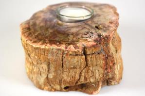 Fossilised Wood Tea Light 14.5cm | Image 4