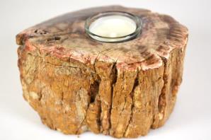 Fossilised Wood Tea Light 14.5cm | Image 5
