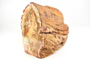Fossilised Wood Branch 9.7cm | Image 3