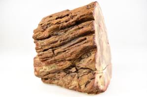 Fossilised Wood Branch 9.7cm | Image 4