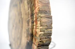 Fossilised Wood Slice Large 52.5cm | Image 6
