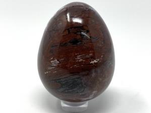 Fossil Wood Egg 5.4cm | Image 2