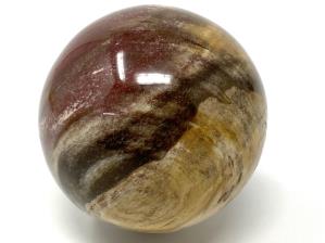 Fossil Wood Sphere 6.8cm | Image 3