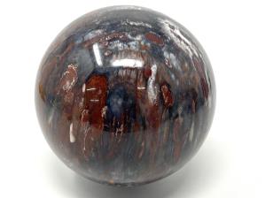 Fossil Wood Sphere Large 12.6cm | Image 4