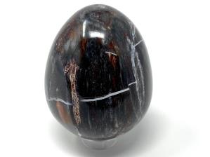 Fossil Wood Egg 5.5cm | Image 2