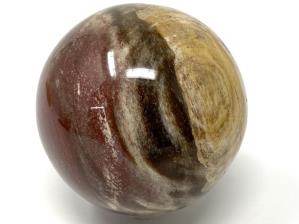 Fossil Wood Sphere 6.8cm | Image 2