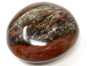 Fossil Wood Pebble 6.2cm | Image 2