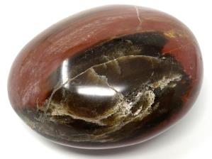 Fossil Wood Pebble 6.2cm | Image 3