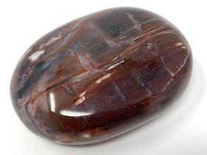 Fossil Wood Pebble 6.5cm | Image 2