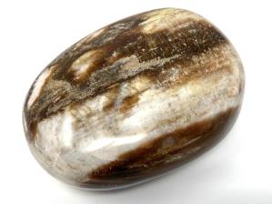 Fossil Wood Pebble 6.9cm | Image 2