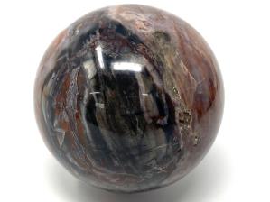 Druzy Fossil Wood Sphere Large 9.3cm | Image 5