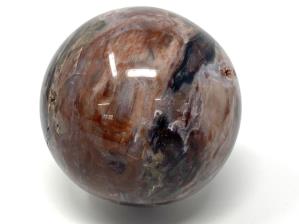 Druzy Fossil Wood Sphere 9.3cm | Image 4