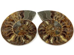 Druzy Ammonite Pair Large 20.2cm | Image 4