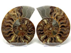 Druzy Ammonite Pair Large 20.2cm | Image 5