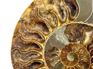 Druzy Ammonite Pair Large 20.2cm | Image 6