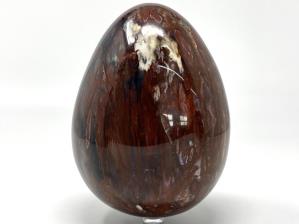 Fossil Wood Egg Large 15.1cm | Image 3