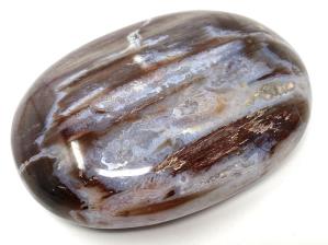 Fossil Wood Pebble 7cm | Image 2