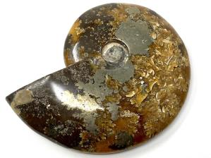 Ammonite Cleoniceras With Pyrite Large 11.9cm | Image 3