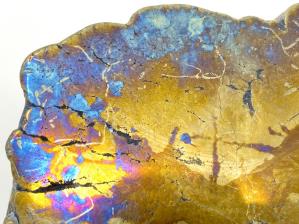 Rainbow Pyrite Slice Large 9.1cm | Image 2