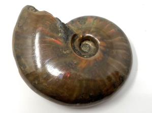 Ammonite Red Iridescent 5.3cm | Image 2