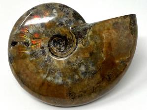 Ammonite Red Iridescent Large 12.5cm | Image 9