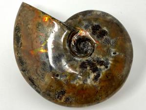 Ammonite Red Iridescent Large 12.5cm | Image 10