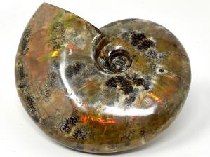 Ammonite Red Iridescent Large 12.5cm | Image 3