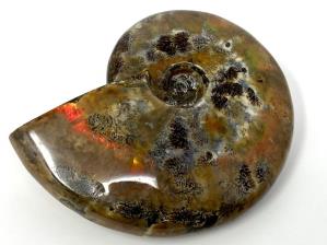 Ammonite Red Iridescent Large 12.5cm | Image 6