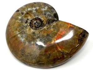 Ammonite Red Iridescent Large 12.5cm | Image 7
