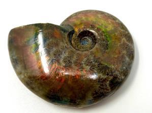 Ammonite Red Iridescent 5.8cm | Image 3