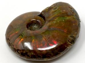 Ammonite Red Iridescent 6cm | Image 2