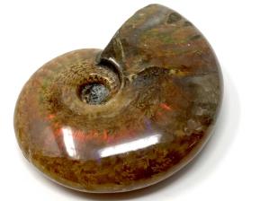 Ammonite Red Iridescent 6.1cm | Image 3