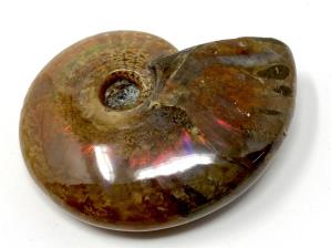Ammonite Red Iridescent 6.1cm | Image 4