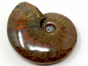 Ammonite Red Iridescent 6.1cm | Image 2