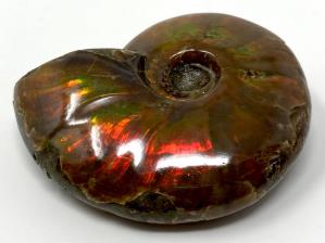 Ammonite Red Iridescent 6cm | Image 3