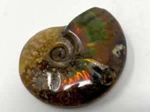 Ammonite Red Iridescent 5.2cm | Image 2