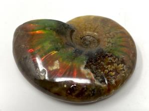 Ammonite Red Iridescent 5.2cm | Image 3