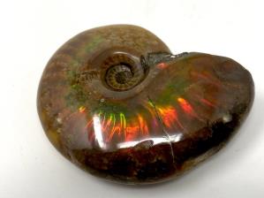 Ammonite Red Iridescent 4.7cm | Image 2