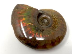 Ammonite Red Iridescent 4.7cm | Image 3