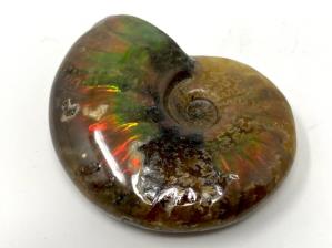 Ammonite Red Iridescent 5.2cm | Image 5