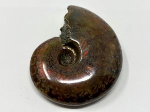  Ammonite Red Iridescent 4.4cm | Image 2