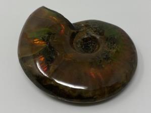Ammonite Red Iridescent 4.6cm | Image 3