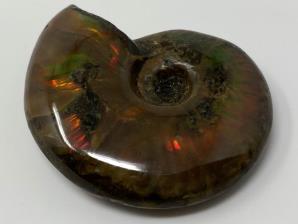 Ammonite Red Iridescent 4.6cm | Image 2