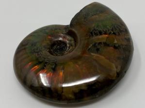 Ammonite Red Iridescent 4.6cm | Image 4