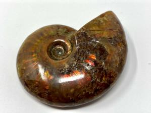 Ammonite Red Iridescent 5.4cm | Image 4