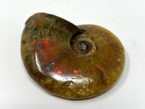 Ammonite Red Iridescent 4.8cm | Image 3
