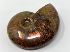 Ammonite Red Iridescent 5.4cm | Image 3