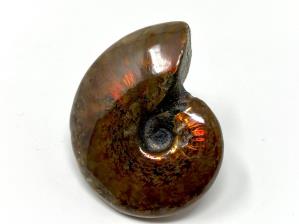 Ammonite Red Iridescent 4.6cm | Image 3